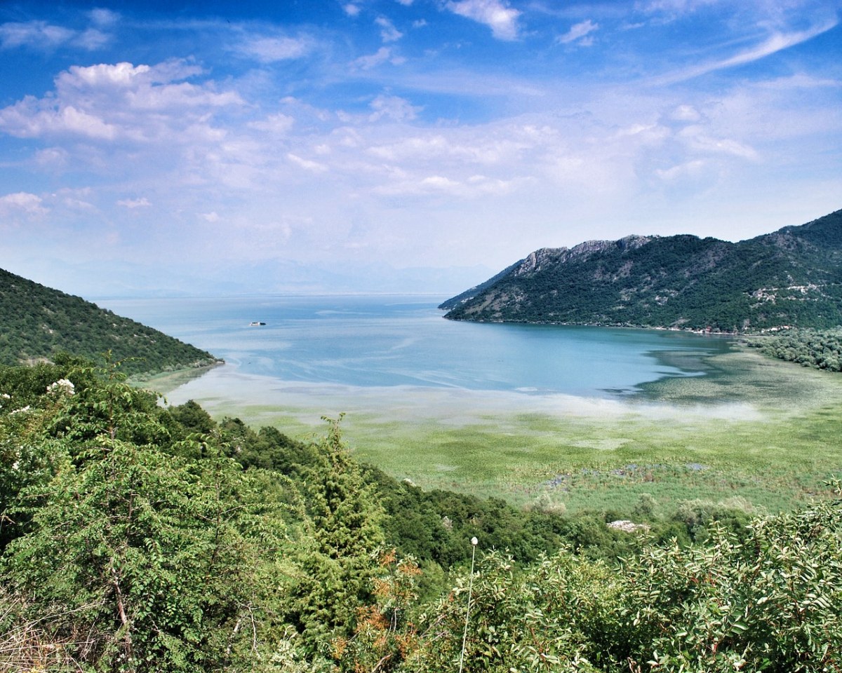 水体,性质,景观