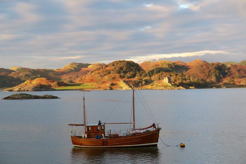 由slowdef贡献发布在pixabay免费图片平台.