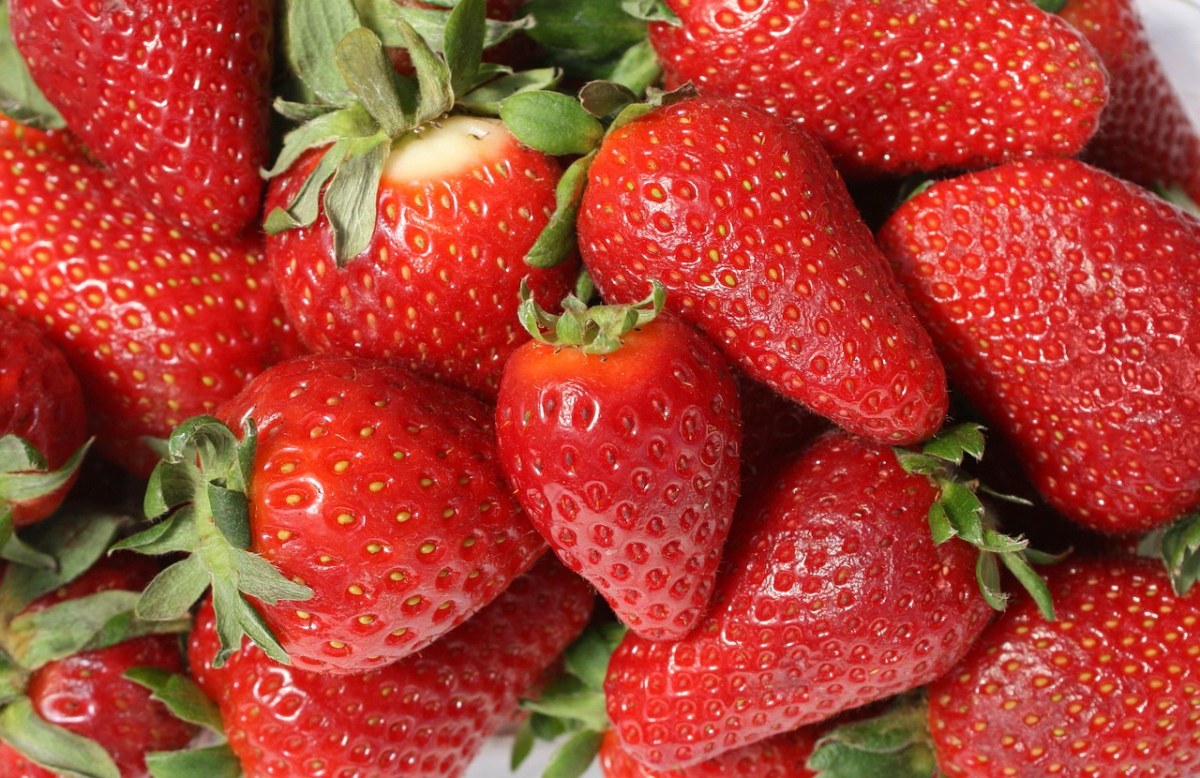 草莓、水果、成熟免费图片