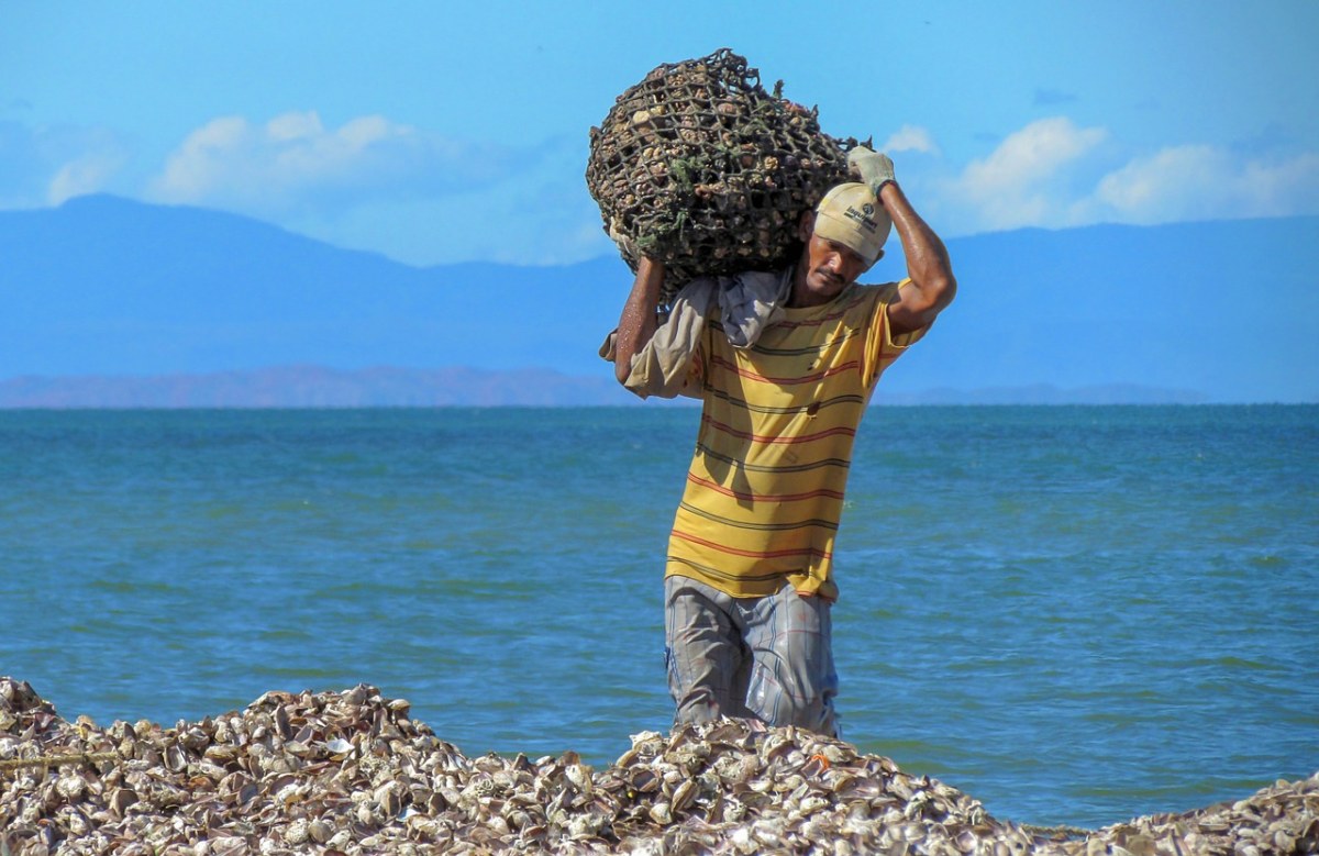 委内瑞拉、海、海洋免费图片