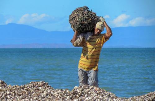 委内瑞拉、海、海洋