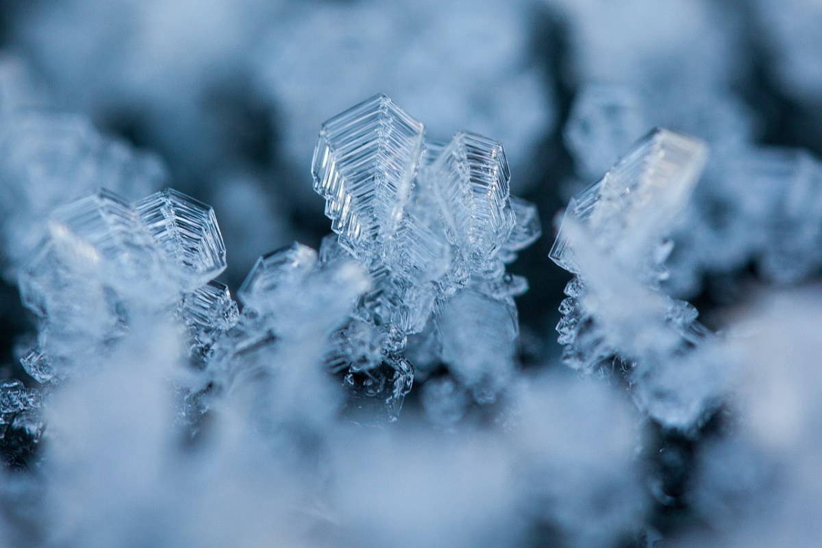 霜、Eiskristalle、冬天免费图片
