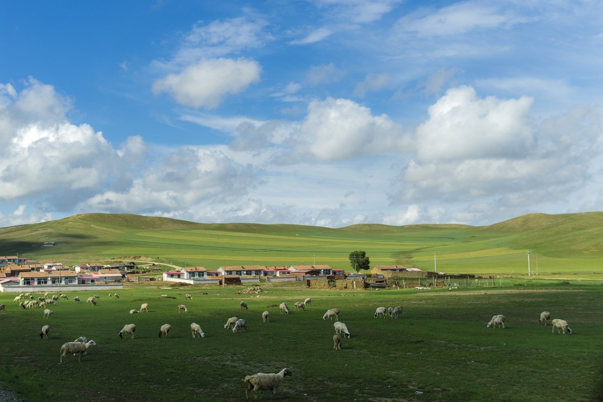 草原、蓝天白云、天气免费图片