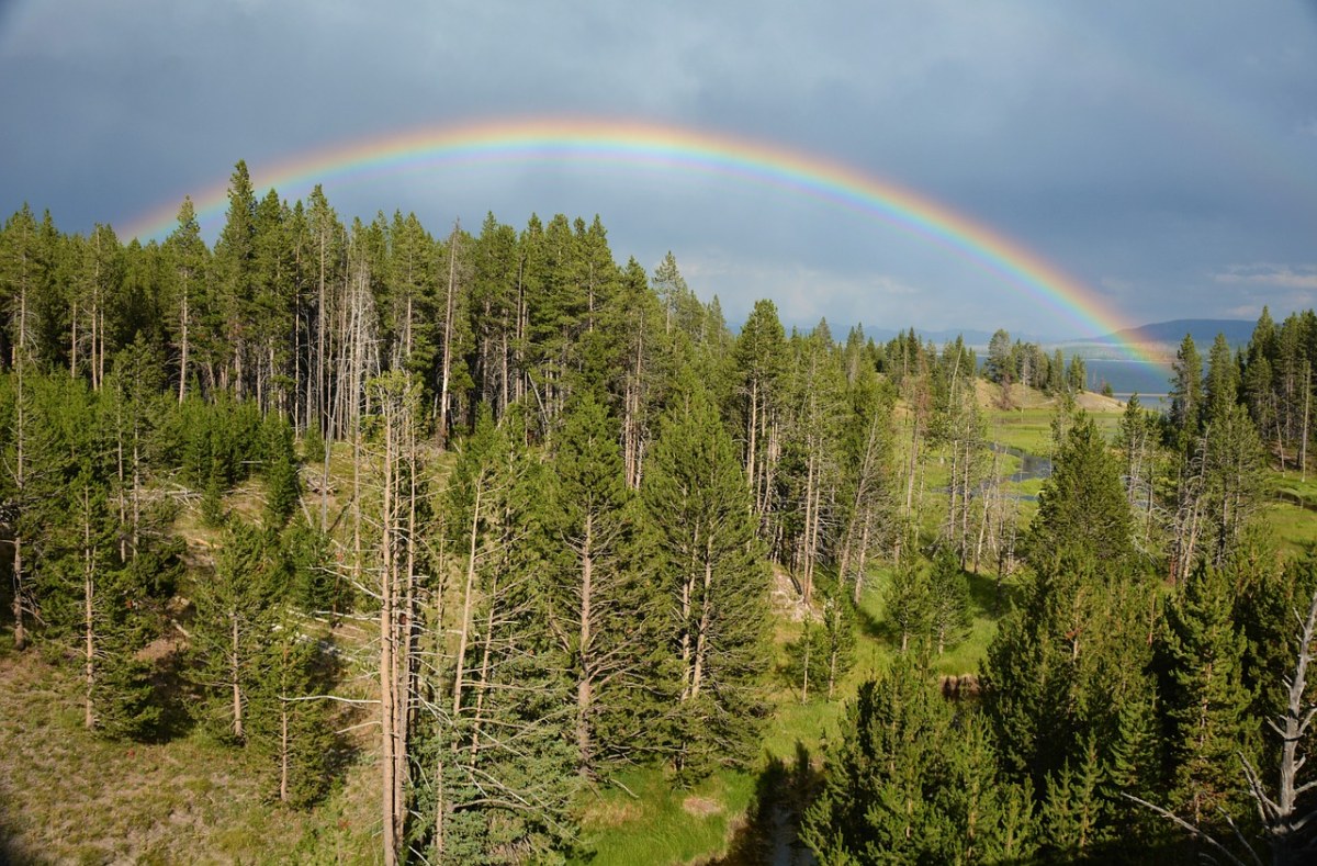 彩虹、黄石公园、雷暴免费图片