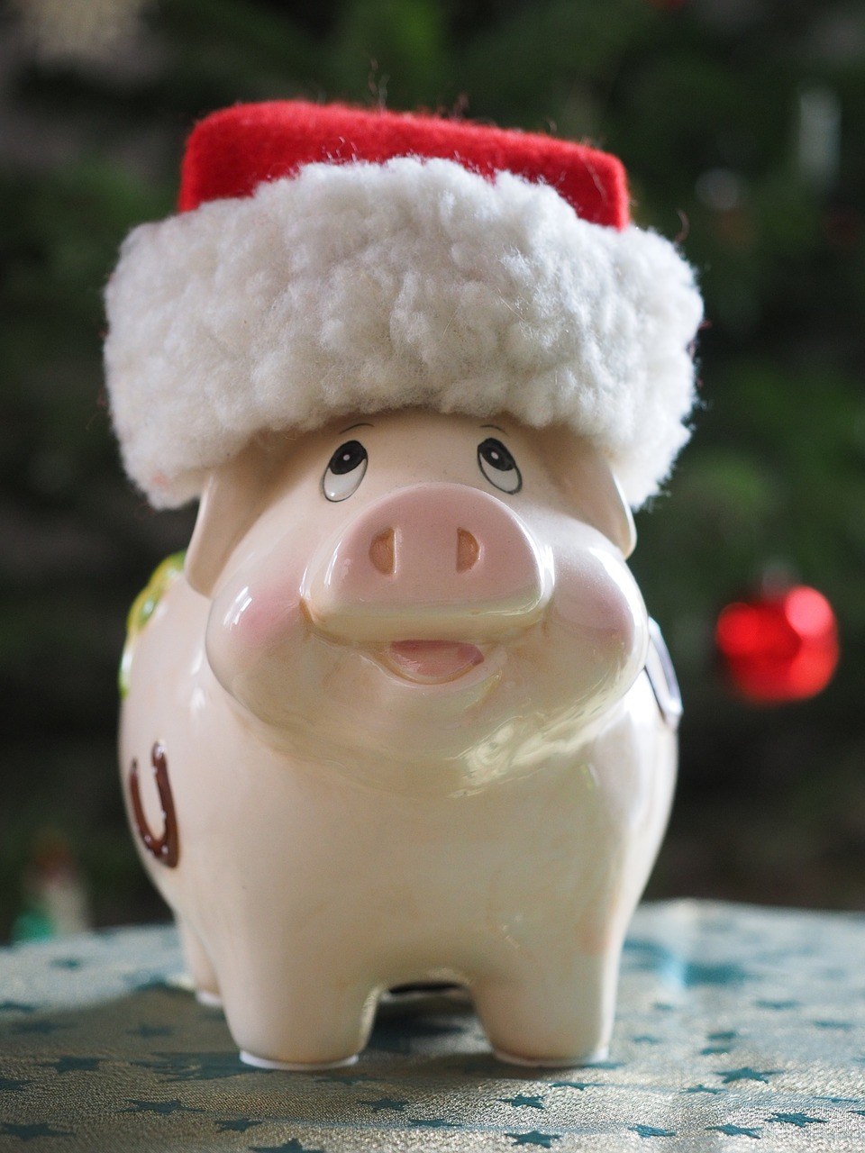 储蓄银行、圣诞储蓄、猪免费图片