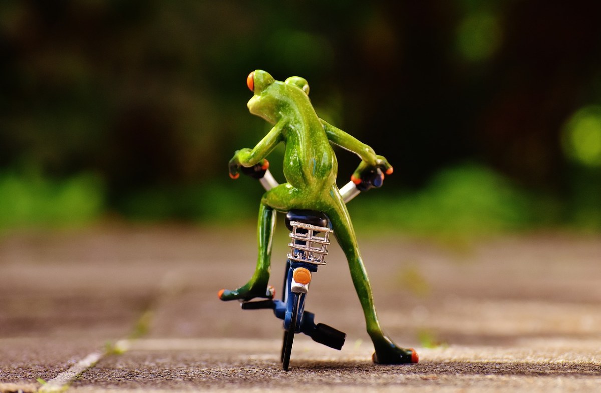 青蛙,自行车,滑稽
