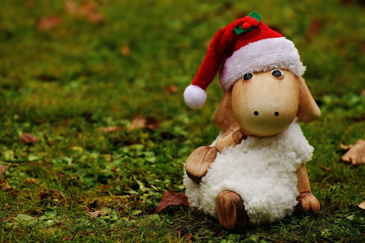 圣诞节、羊、德卡免费图片