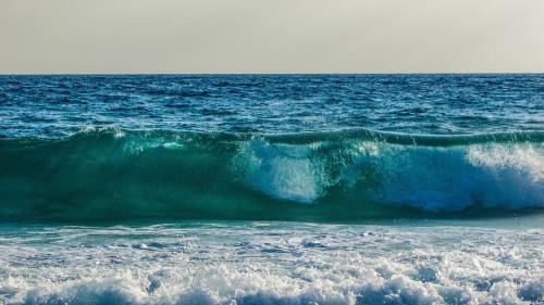 男单1/16决赛林昀儒3-0张禹珍