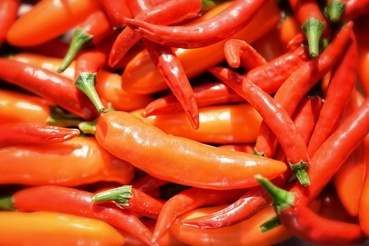 泰国红辣椒，腌制::进口食品 - 亚博网站苹果手机版,亚博全站首页手机登录网址