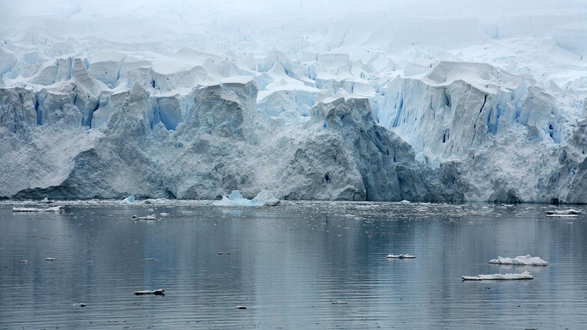 Paradice、湾、南极洲、冰川免费图片