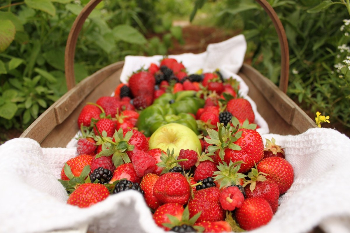 草莓、水果、苹果免费图片