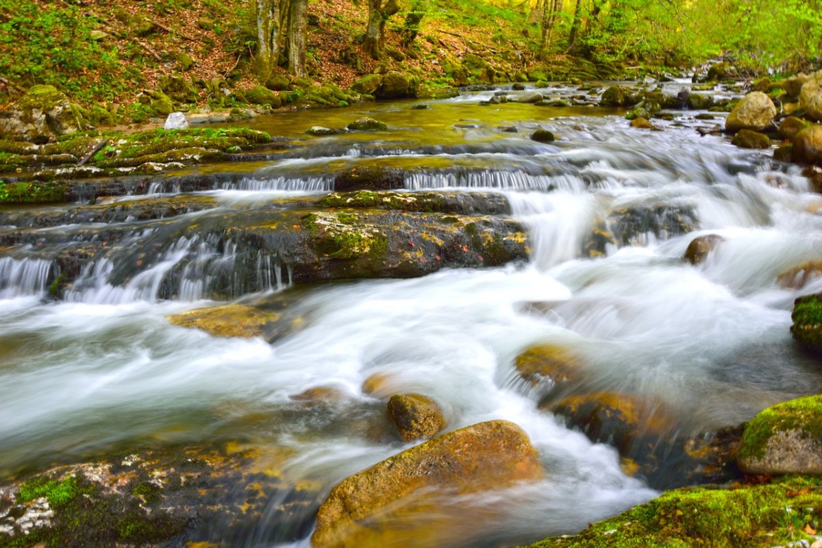 水、溪、自然免费图片