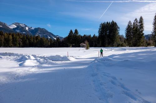 越野滑雪、雪、痕迹