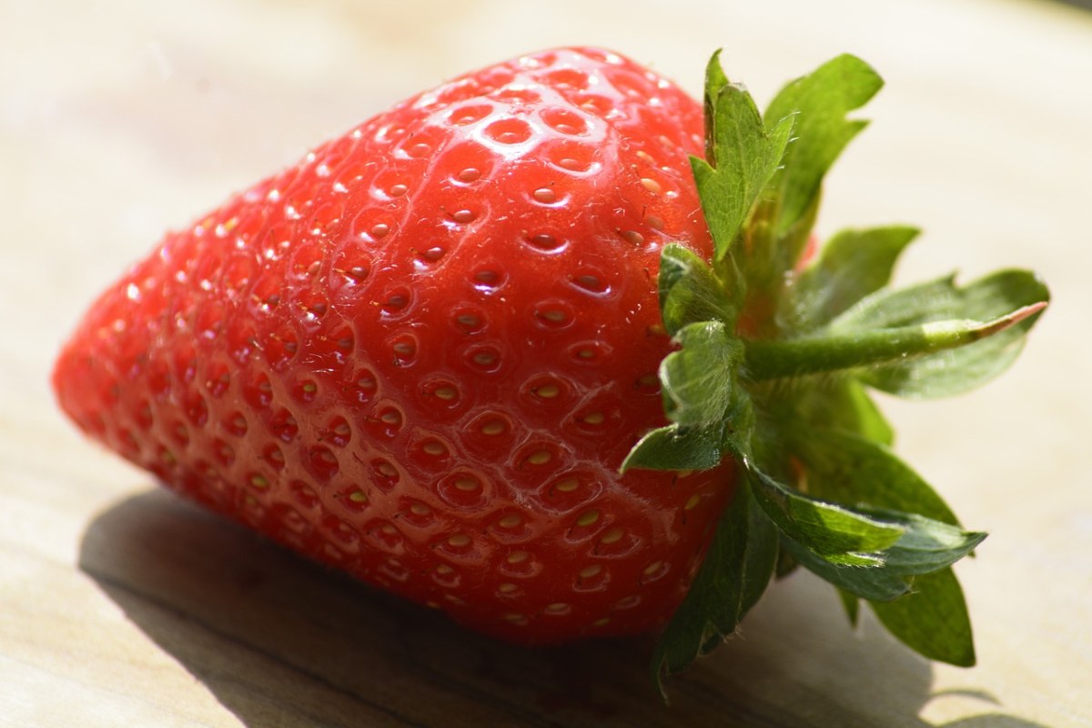 授权:①可免费用于商业用途 ②不要求署名来源:pixabay@ reginal原图