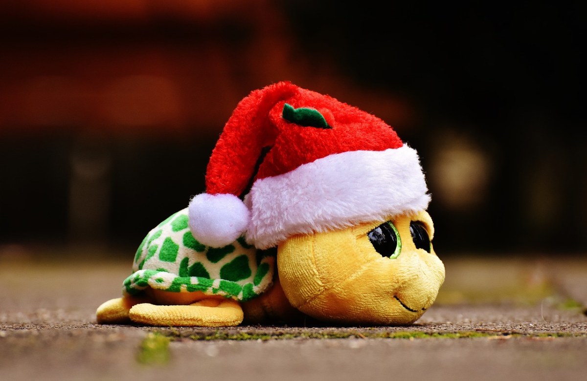 圣诞节、龟、毛绒动物免费图片