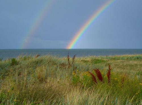 丹麦、景观、彩虹