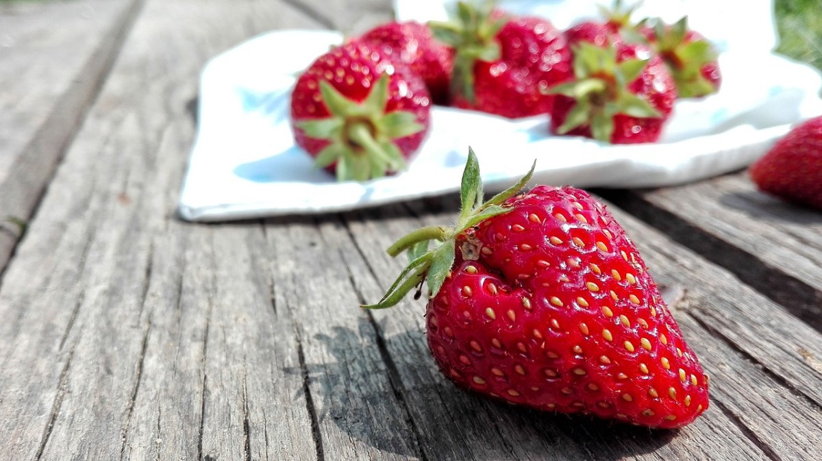草莓、食品、作物免费图片