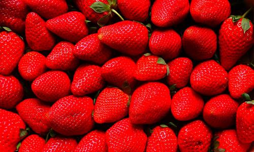 草莓、红
