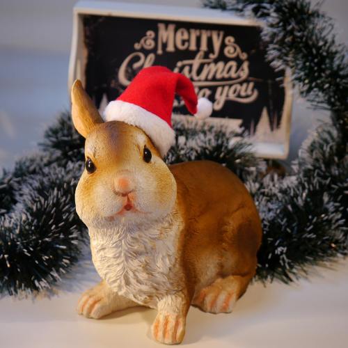 奎、圣诞节、野兔