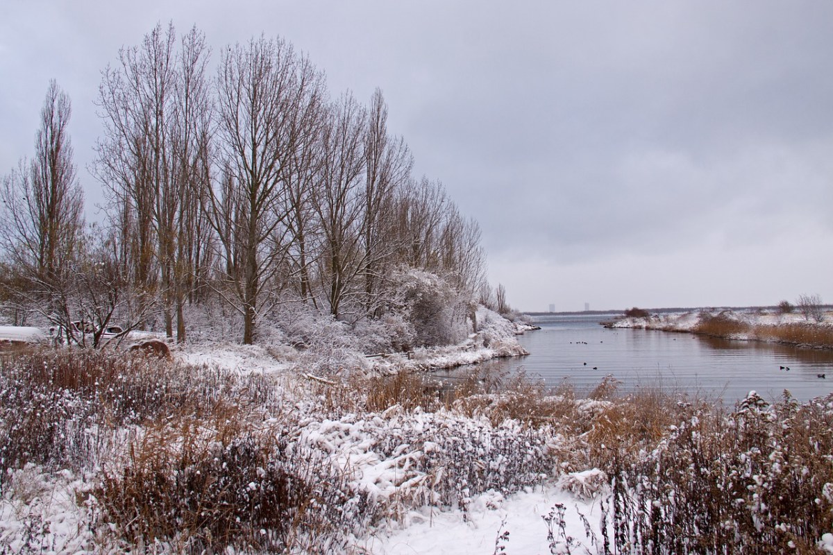 冬季风景、冬天、雪免费图片