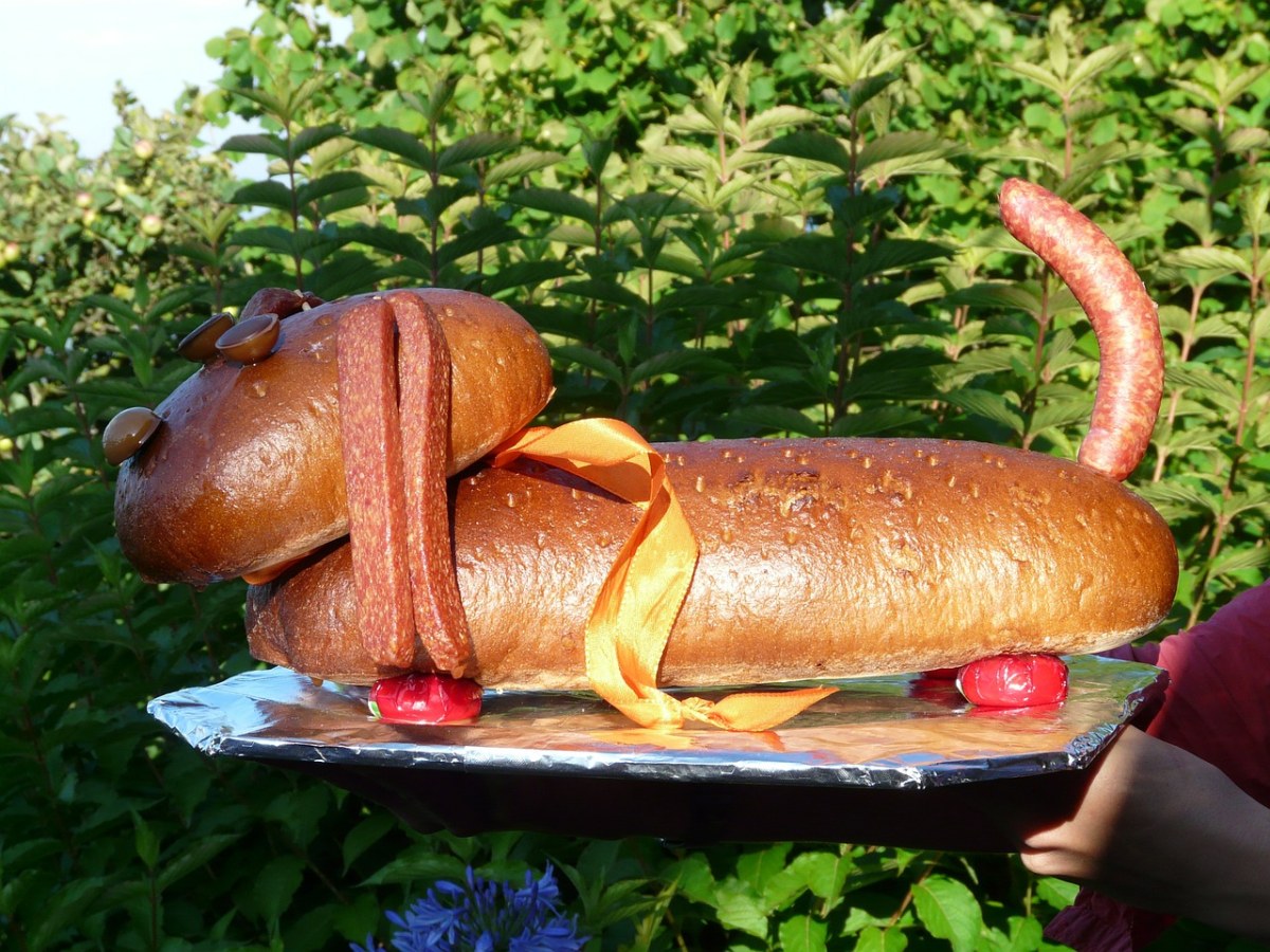 狗,腊肠狗,wurstwaldi