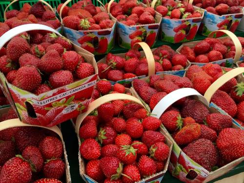 草莓、水果、红色