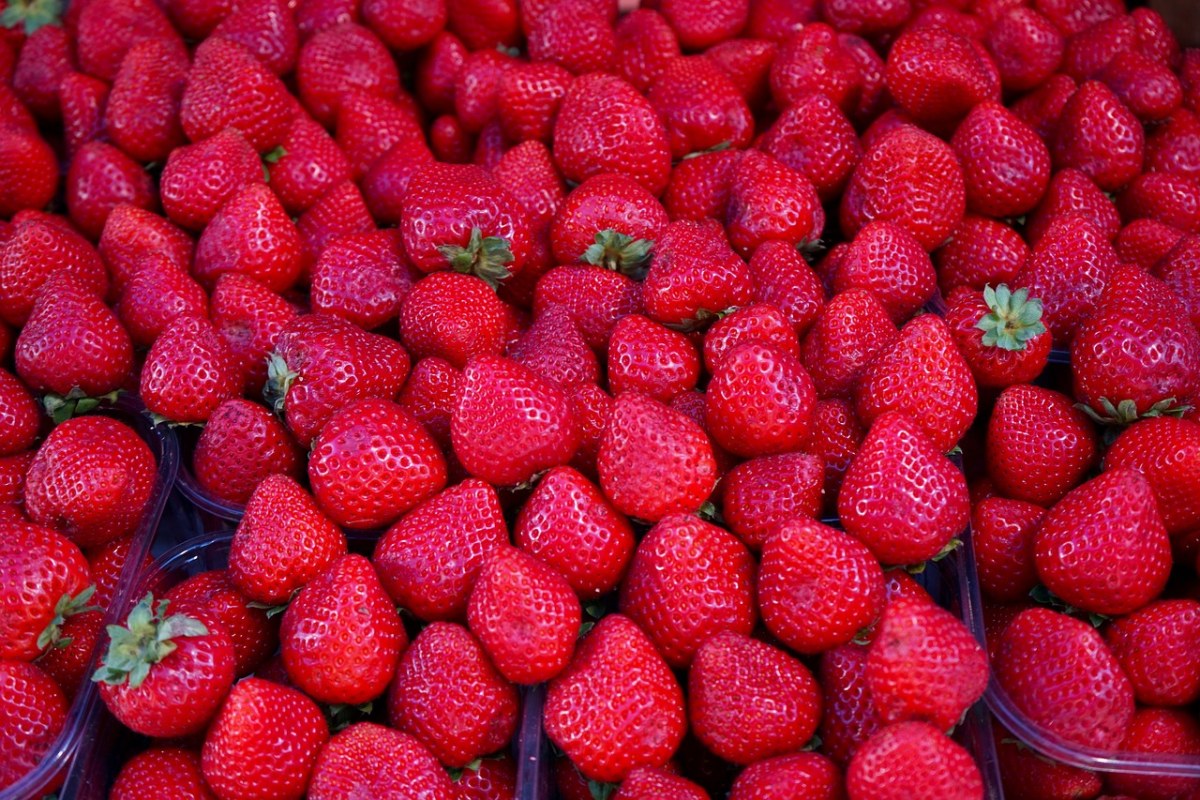 素食主义者、草莓、水果免费图片