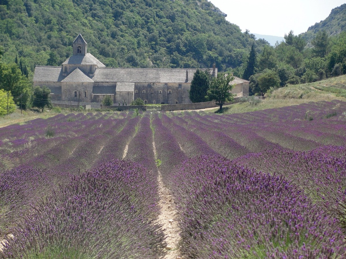 法国的庄园建筑与薰衣草免费图片