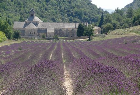 法国的庄园建筑与薰衣草