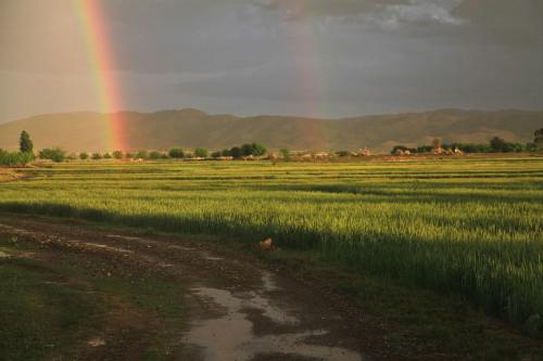 彩虹、原野、阿富汗