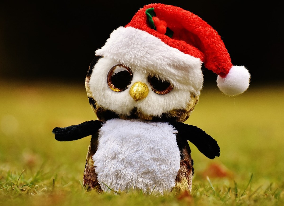 圣诞节、猫头鹰、毛绒动物免费图片