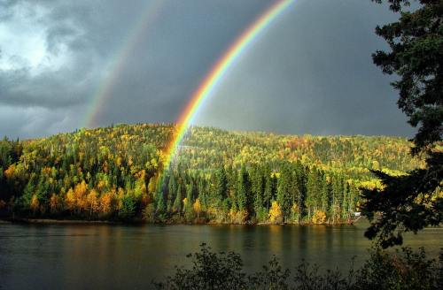 彩虹、景观、秋天