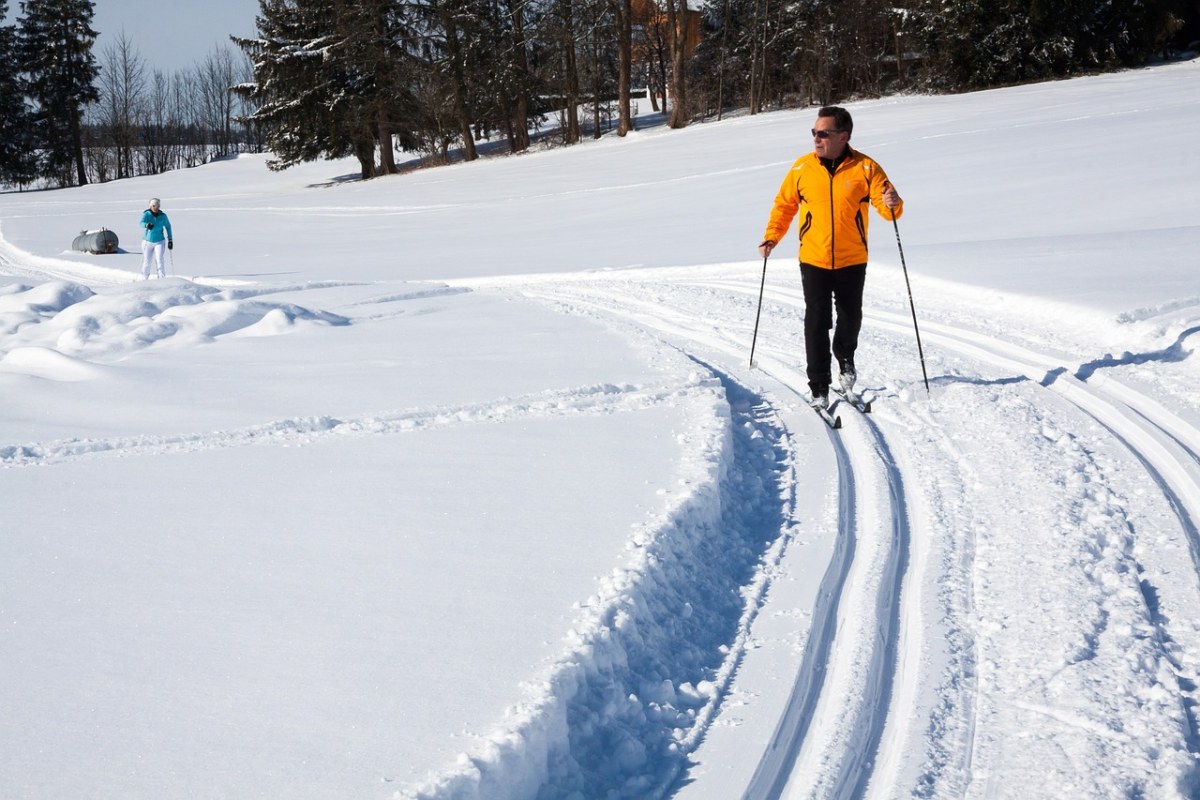 越野滑雪、径、追踪免费图片