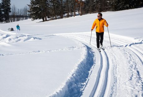 越野滑雪、径、追踪