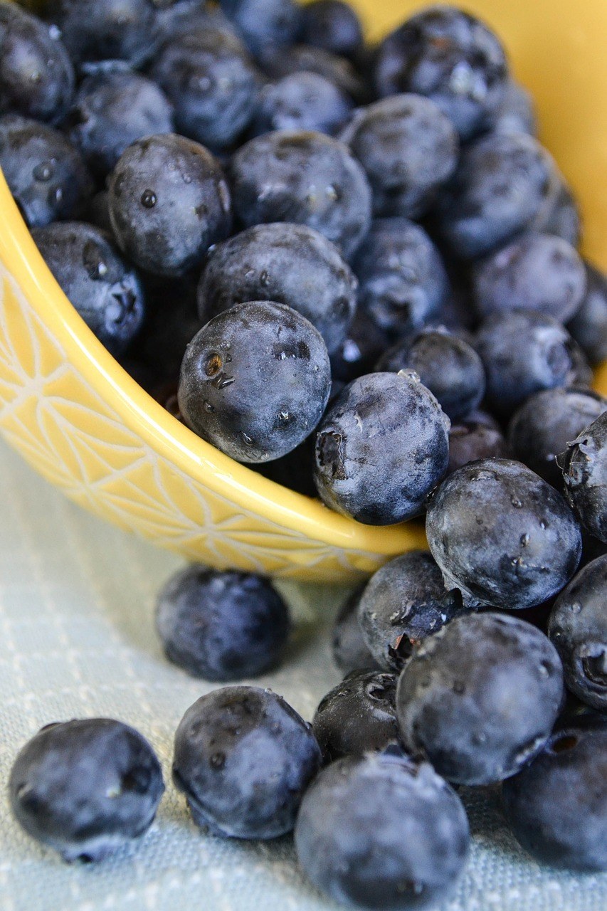 蓝莓（笃斯）水果免费图片