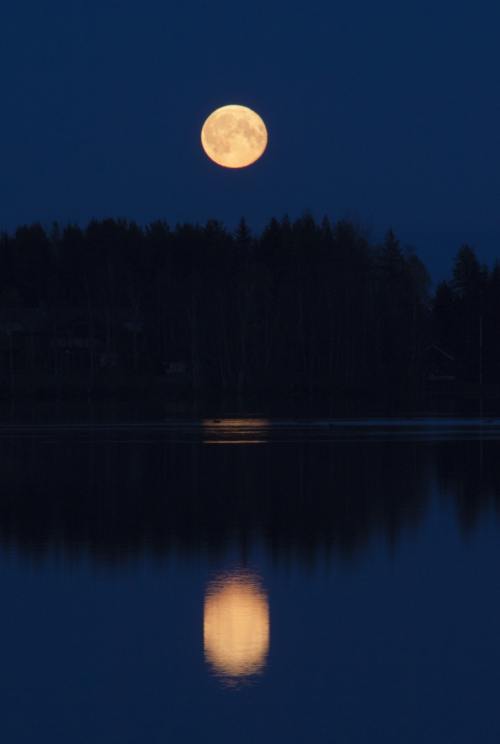 月亮、月出、黄昏