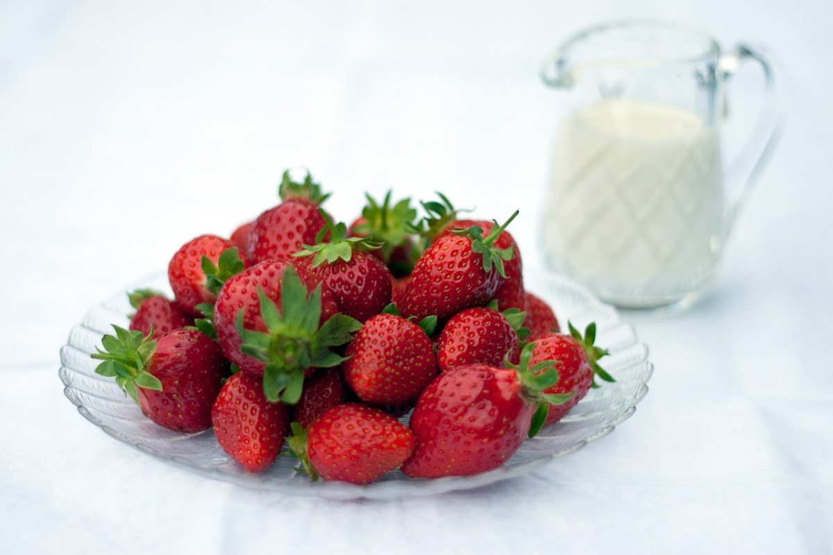 草莓、甜点、奶油免费图片