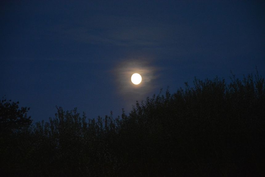 夜晚的景观,月亮,夜