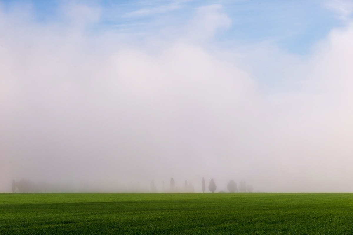 在早晨的雾,雾,景观
