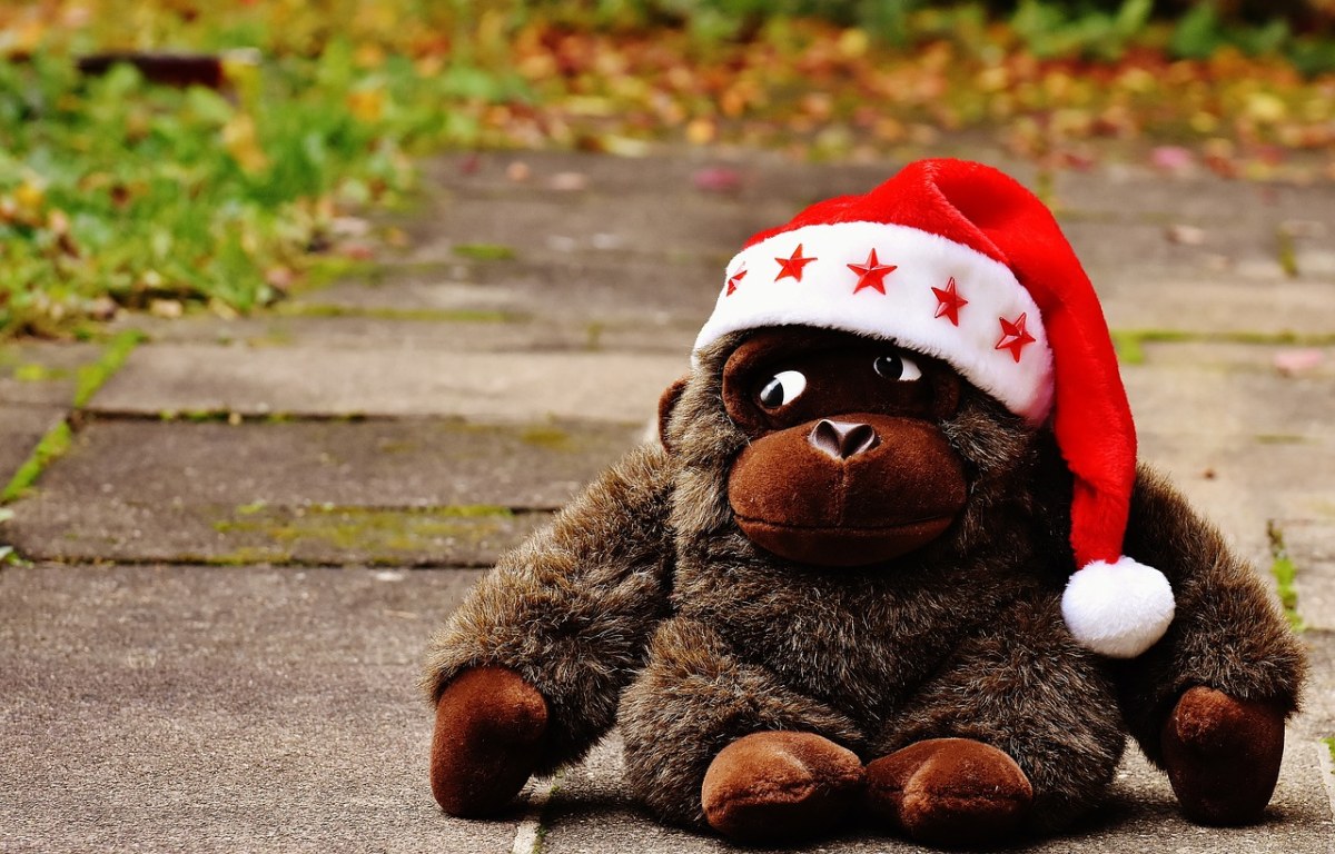 圣诞节、圣诞老人的帽子、毛绒动物免费图片