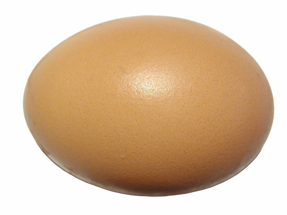 鸡蛋、蛋壳、蛋白质免费图片