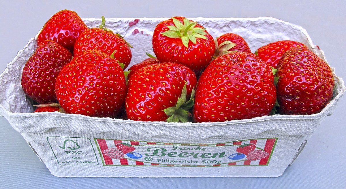 草莓、壳、浆果免费图片