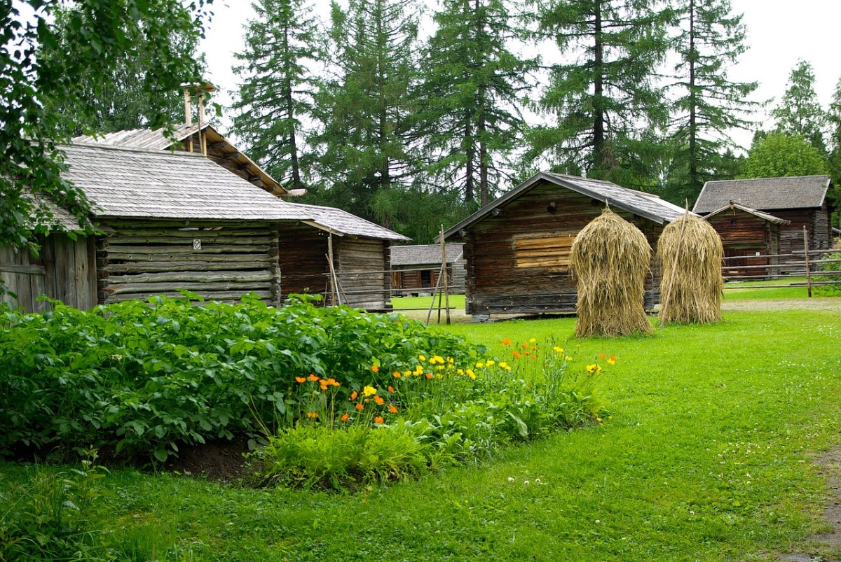 芬兰,农场,菜园