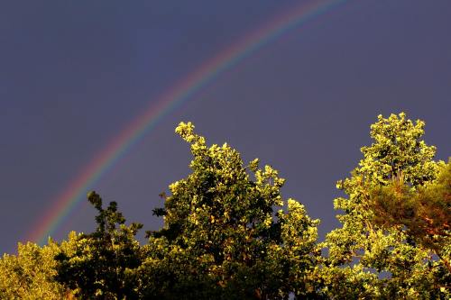 彩虹、天空、心情