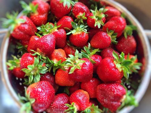 草莓、水果、新鲜