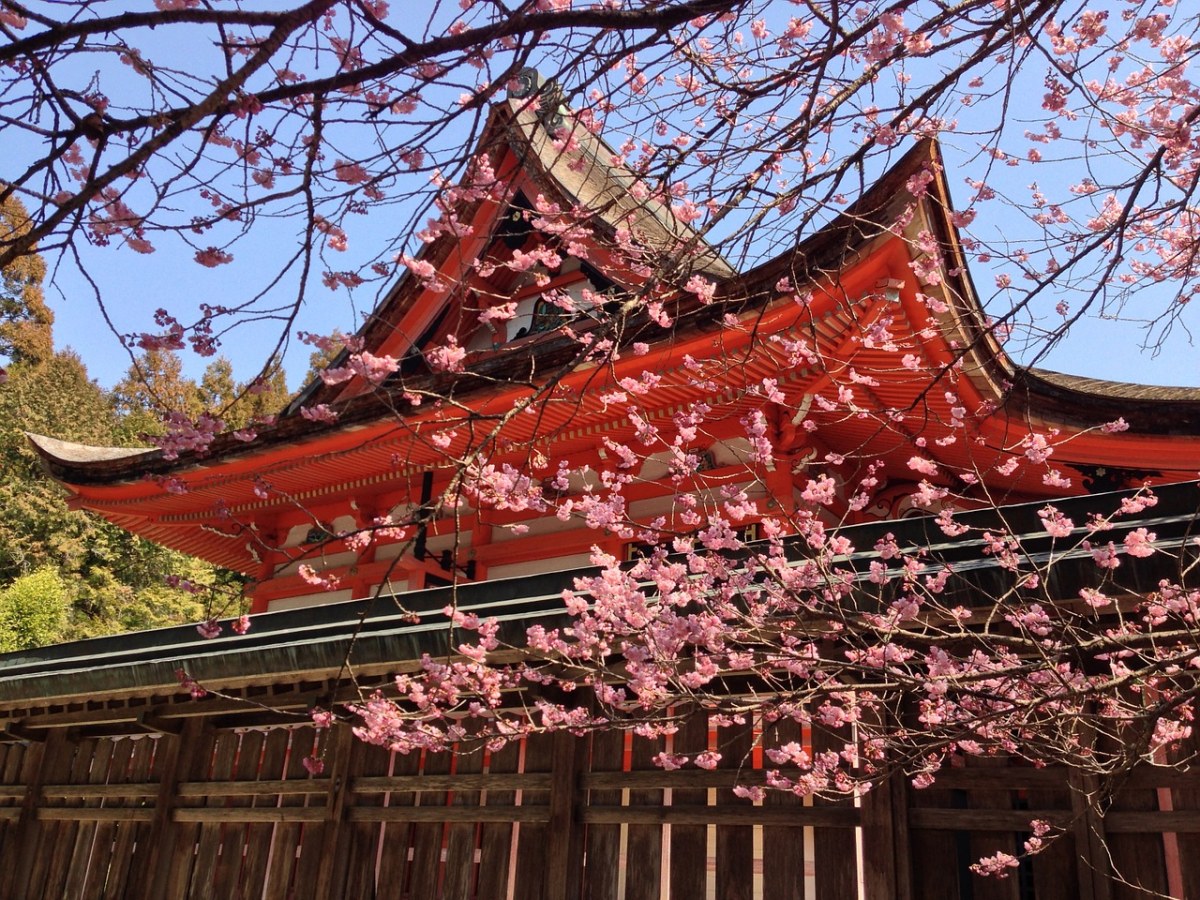 春天的日本樱花与古建筑免费图片