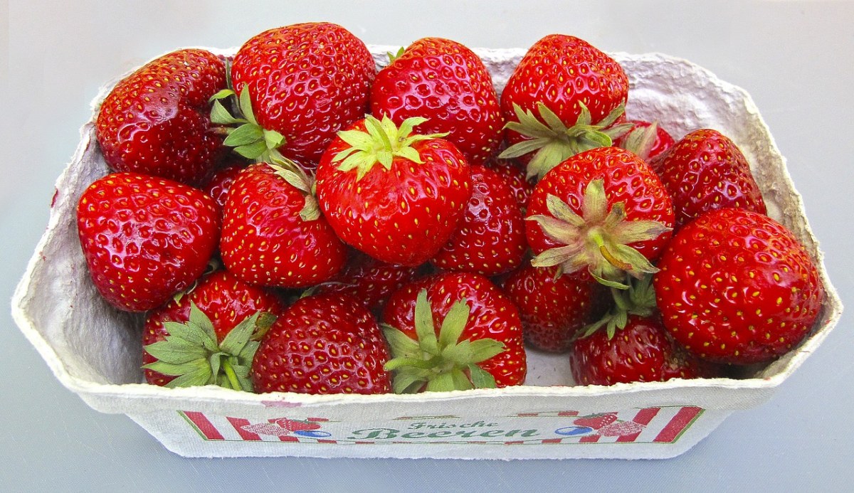 草莓、壳、浆果免费图片