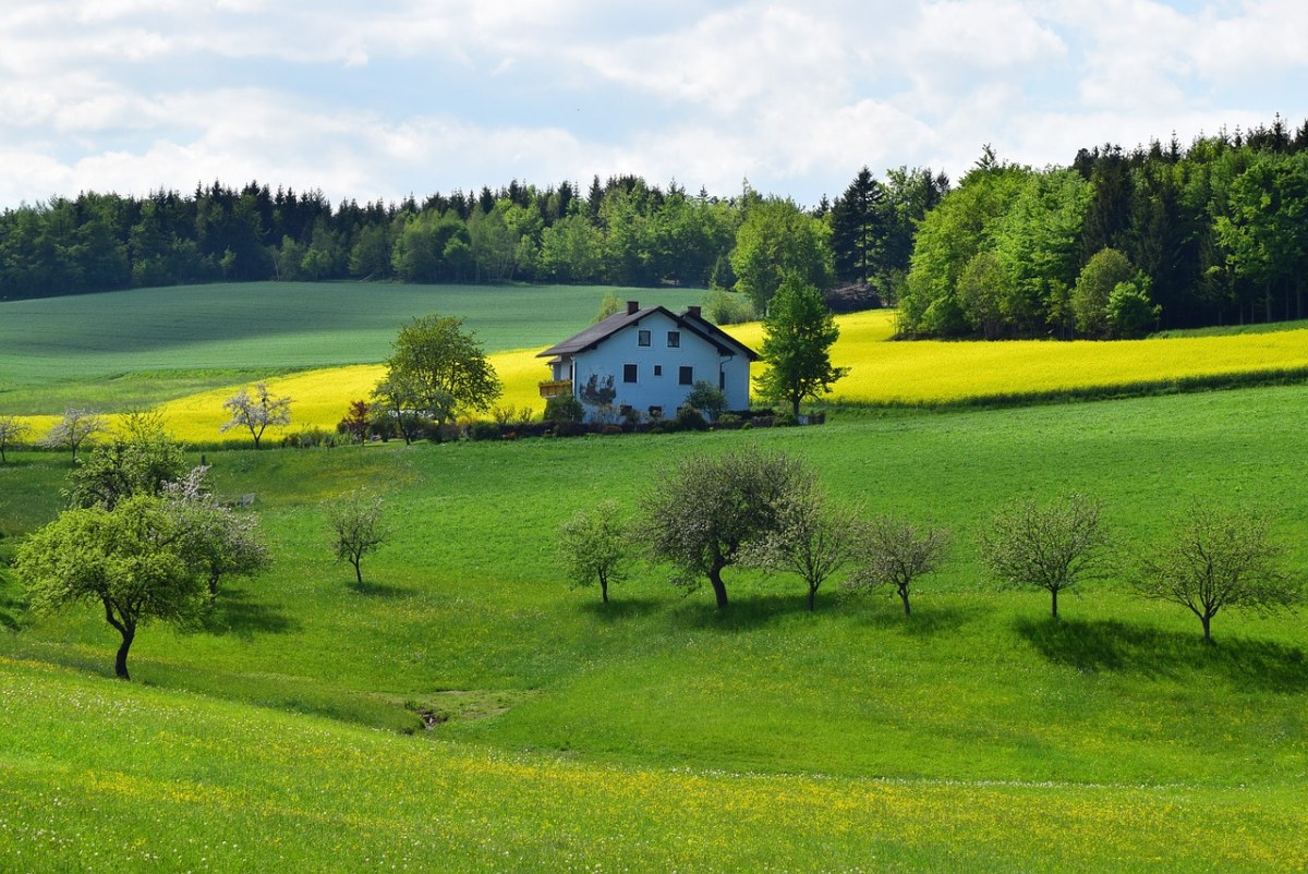 绿草茵茵的春天农村田园风景免费图片