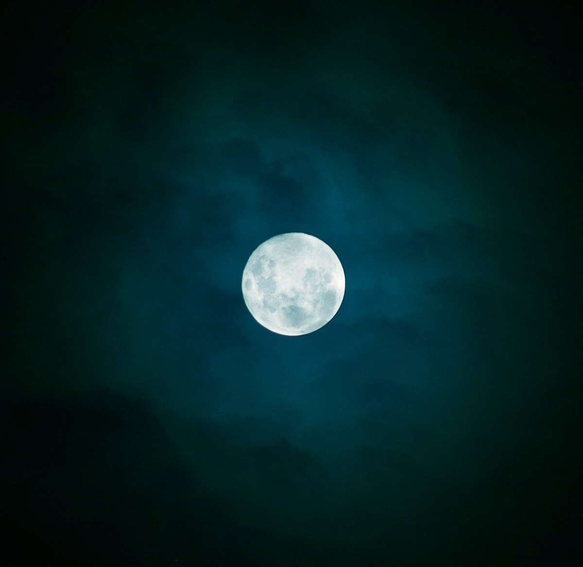 月亮、月光下、夜空免费图片