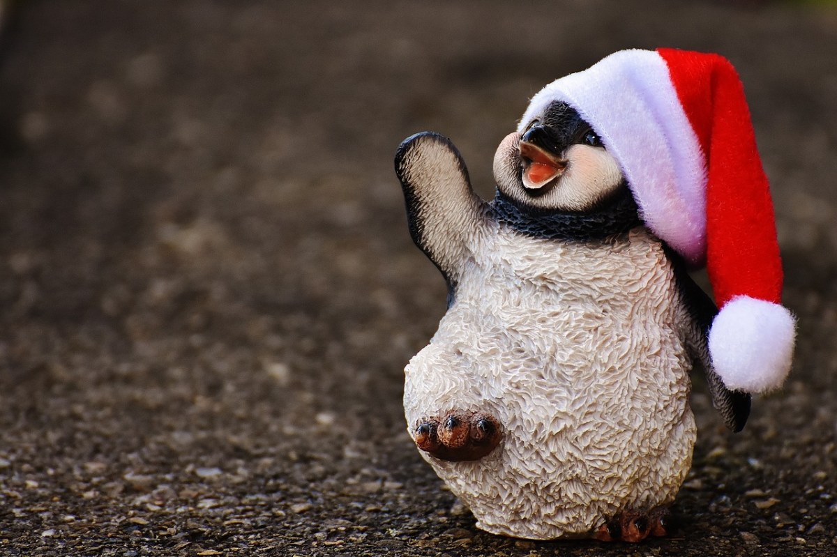 企鹅、数字、圣诞节免费图片